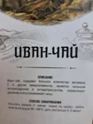 Иван-чай (Кипрей)