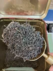 чай черный Цейлонский