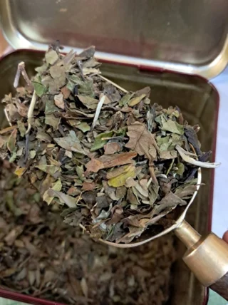 Чай белый Бай Му Дань (Белый пион)