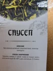 Чай зеленый "Саусеп"